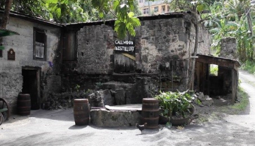 Callwood-Rum-Distillery.jpg