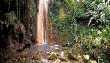 Diamond-botanical-gardens-and-water-fall.jpg