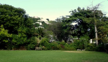 JR-ONeal-Botanical-Gardens-3.jpg