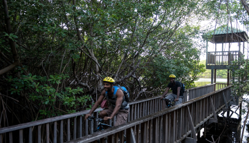 Levera-National-Park2.jpg