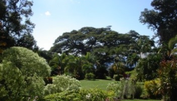 Romney-Manor-Gardens2.jpg