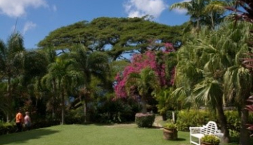 Romney-Manor-Gardens3.jpg