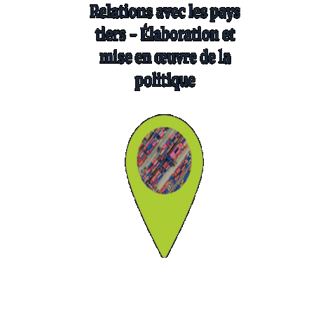 relations-avec-les-pays-tiers---Elaboration-et-mise-en-oeuvre-de-la-politique.gif